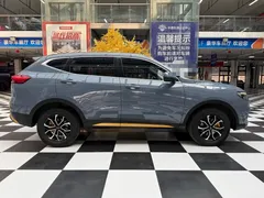 2021 Haval H6 1.5T AT Guochao Urban — фото 8
