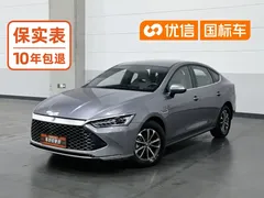 2023 BYD Qin PLUS Champion DM-i PHEV 55KM Leading — фото 1
