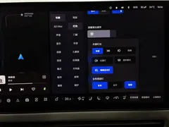 2025 Li Auto i6 2WD Standard — фото 21