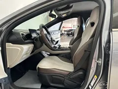2023 BYD Qin PLUS Champion DM-i PHEV 55KM Leading — фото 11