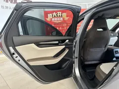 2023 BYD Qin PLUS Champion DM-i PHEV 55KM Leading — фото 13