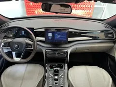 2023 BYD Qin PLUS Champion DM-i PHEV 55KM Leading — фото 20