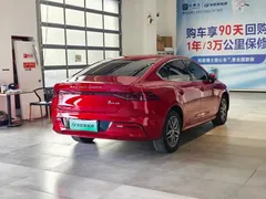 2021 BYD Qin PLUS EV 400KM Luxury — фото 7