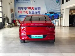 2021 BYD Qin PLUS EV 400KM Luxury — фото 8