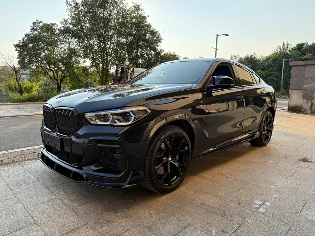 2022 BMW X6