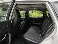 2025 BYD Sea Lion 05 DM-i PHEV 115KM Flagship — фото 9