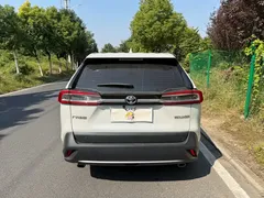 2023 Toyota Wildlander 2.0L CVT 2WD Urban, белый — фото 12
