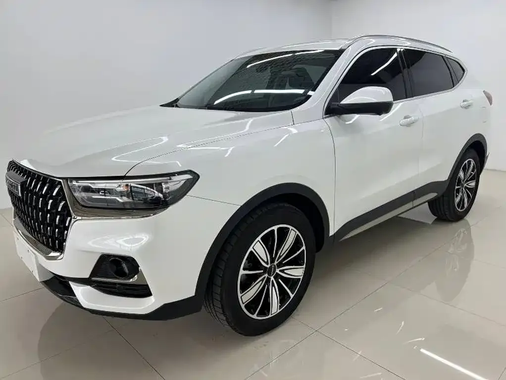 2023 Haval H6 1.5T AT Guochao Champion