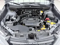 2021 Subaru Forester 2.0i Luxury EyeSight — фото 17