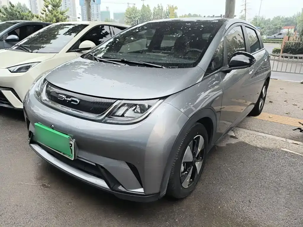 2023 BYD Dolphin 420km Fashion