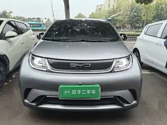 2023 BYD Dolphin 420km Fashion — фото 3