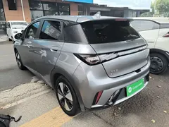 2023 BYD Dolphin 420km Fashion — фото 5