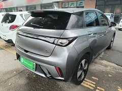 2023 BYD Dolphin 420km Fashion — фото 7