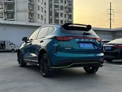 2021 Haval Chitu 1.5T Jiqing Platinum Rabbit, синий — фото 8