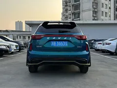 2021 Haval Chitu 1.5T Jiqing Platinum Rabbit, синий — фото 9