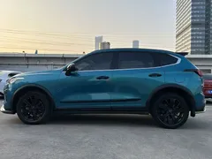 2021 Haval Chitu 1.5T Jiqing Platinum Rabbit, синий — фото 11