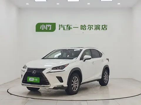 2020 Lexus NX 300h 2WD Fashion
