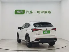 2020 Lexus NX 300h 2WD Fashion, белый — фото 4