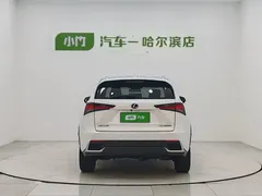 2020 Lexus NX 300h 2WD Fashion, белый — фото 6