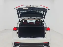 2020 Lexus NX 300h 2WD Fashion, белый — фото 15