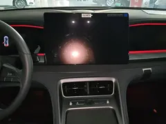 2025 BYD Sea Lion 07 DM-i PHEV 150 Pilot — фото 13