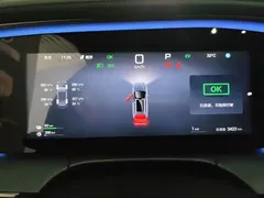 2025 BYD Sea Lion 07 DM-i PHEV 150 Pilot — фото 14