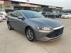 2023 BYD Qin PLUS Champion DM-i PHEV 120km — фото 3