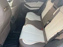 2023 BYD Qin PLUS Champion DM-i PHEV 120km — фото 13