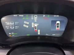 2025 BYD Song PLUS DM-i PHEV Smart Driving 112km Premium, белый — фото 5