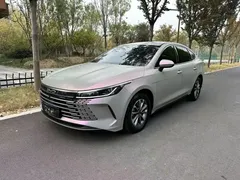 2024 BYD Destroyer 05 DM-i PHEV 55km Luxury — фото 2