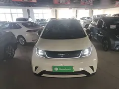 2023 BYD Dolphin 420km Fashion, белый — фото 3