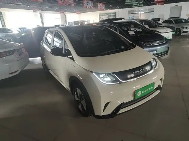 2023 BYD Dolphin 420km Fashion