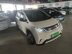 2023 BYD Dolphin 420km Fashion, белый — фото 4