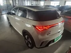 2023 BYD Dolphin 420km Fashion, белый — фото 5