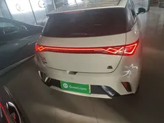2023 BYD Dolphin 420km Fashion, белый — фото 6