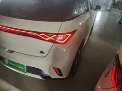 2023 BYD Dolphin 420km Fashion, белый — фото 8