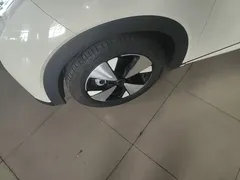 2023 BYD Dolphin 420km Fashion, белый — фото 23