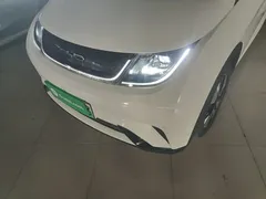 2023 BYD Dolphin 420km Fashion, белый — фото 24