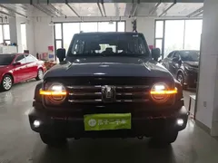 2021 Tank 300 Off-road 2.0T Conqueror — фото 3