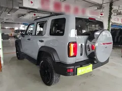 2021 Tank 300 Off-road 2.0T Conqueror — фото 5