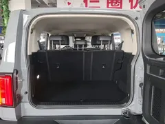 2021 Tank 300 Off-road 2.0T Conqueror — фото 19