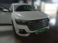 2021 Haval H6 1.5T AT Guochao Urban, белый — фото 2
