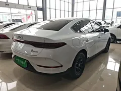 2025 BYD Qin PLUS DM-i PHEV Smart Driving 55km Leading, белый — фото 7