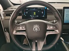 2025 BYD Qin PLUS DM-i PHEV Smart Driving 55km Leading, белый — фото 10