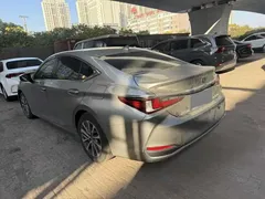 2020 Lexus ES 300h Excellence — фото 5