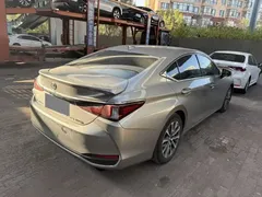 2020 Lexus ES 300h Excellence — фото 6
