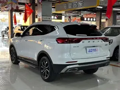 2023 Haval H6 1.5T AT Guochao Urban, белый — фото 6