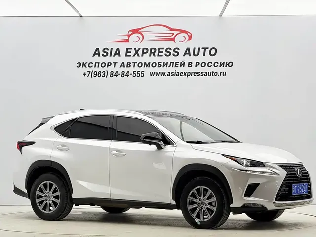 2020 Lexus NX 200 2WD Fengxing China VI