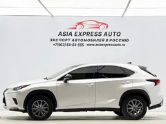 2020 Lexus NX 200 2WD Fengxing China VI, белый — фото 7