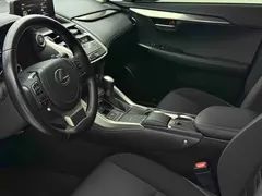 2020 Lexus NX 200 2WD Fengxing China VI, белый — фото 15